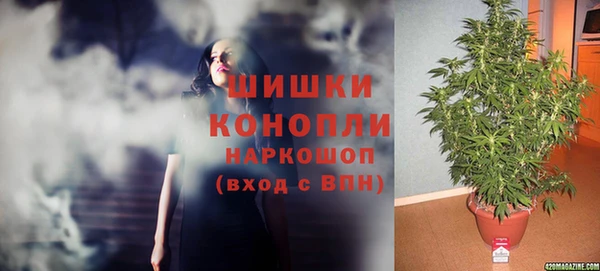 сатива Бронницы