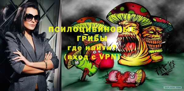 сатива Бронницы