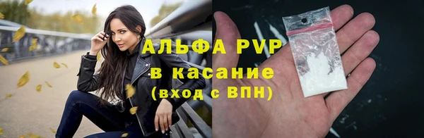 сатива Бронницы