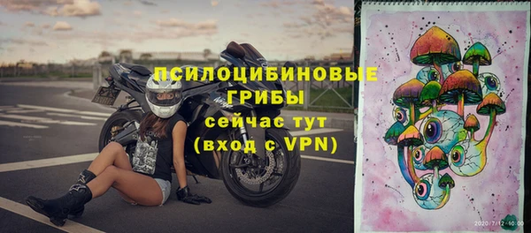 spice Бугульма