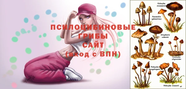 spice Бугульма