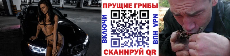 Псилоцибиновые грибы прущие грибы  Яровое 